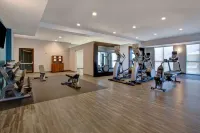 Hampton Inn & Suites Borger - 2 Sao