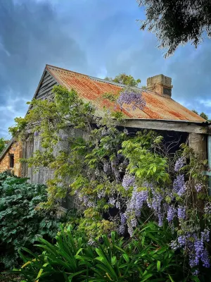 Cherry Plum Cottages