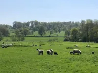 Clare Cottage - parking