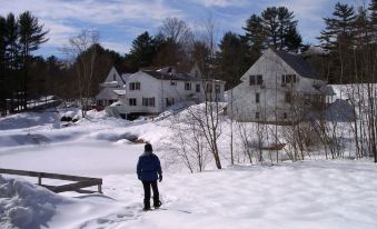 Cranmore Mountain Lodge Bed & Breakfast