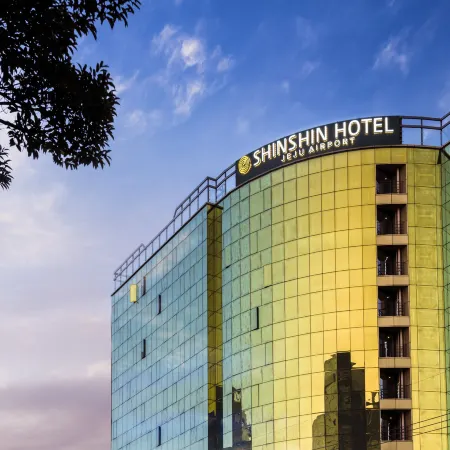 Shin Shin Hotel Jeju Airport Отели рядом с Аэропорт Чеджу