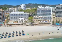 Hotel Spa Flamboyan - Caribe Hotels in Torrenova
