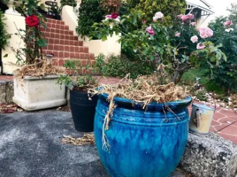 多摩蘭之家酒店