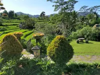Sawah Indah Villa Hotel dekat Taman Jinja Bali