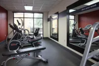 Hampton Inn Richmond-North/Ashland - Gym