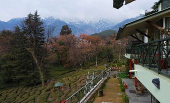 Lamrin Norwood Green Palampur, Himachal Pradesh