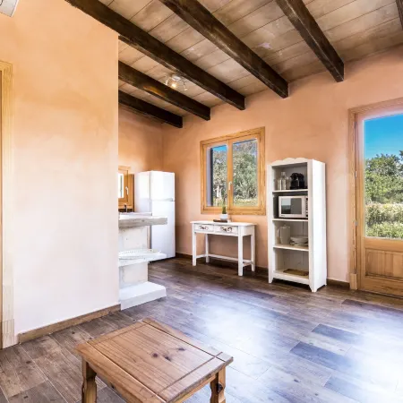 Finca Agroturismo Sa Cova Den Borino