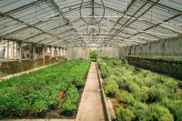 豐多布爾加羅洛酒店