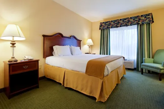 Holiday Inn Express & Suites San Antonio South Hotels near Palo Alto Terrace Park