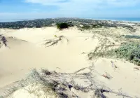 Coorong Waterfront Retreat Hotels in Meningie