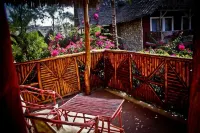 Palumboreef Beach Resort Hotels in Uroa