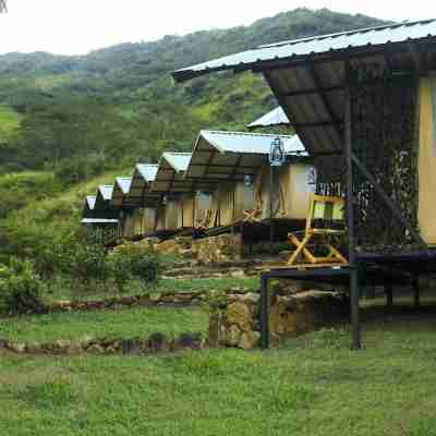 Wild Glamping Hotel Exterior