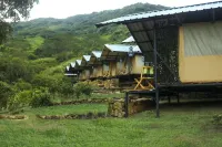 Wild Glamping Hotels in Medadumbara