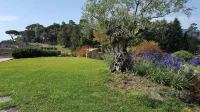 B&B Podere Montese