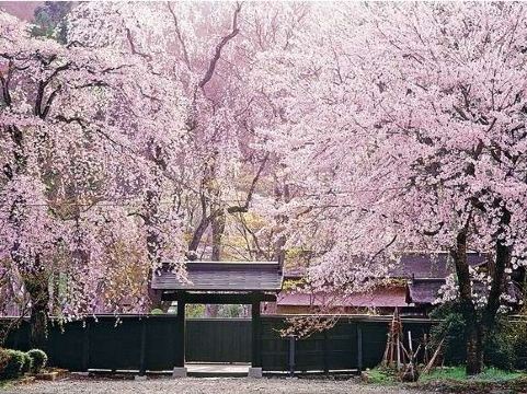 1. 오마가리 시티 ..