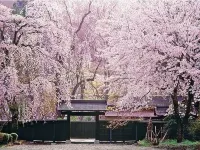 Omagari City Hotel Hotels in Daisen
