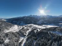 Catrina 2-Zimmer Standard Apartment Hotels in Disentis