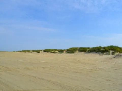 "Gunnlaug" - 500m from the Sea