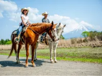 Pension Paddy Field Hotels in Narusawa