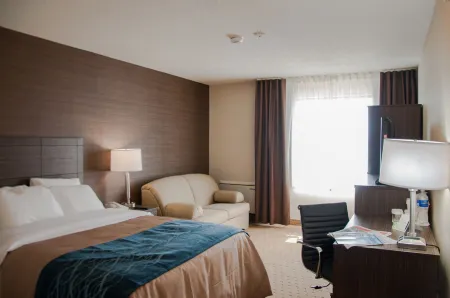 Comfort Inn Отели рядом с достопримечательностью «Парк Солей»