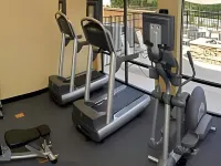 SpringHill Suites Statesboro University Area - Gym
