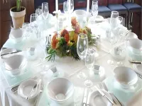 Hotel Schiff am See - Pet friendly