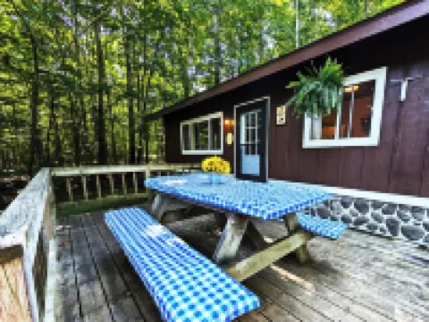 Amenities & Resort Access Included, Cabin 5 Hotels in Phelps