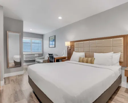 Sather Berkeley, SureStay Collection by BW Hotels in Berkeley
