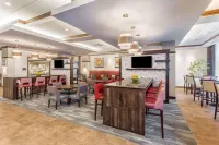 希爾頓歡朋套房酒店-麥迪遜市區 - 健身室/gym room
