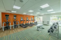Holiday Inn Express & Suites LINDALE - TYLER by IHG - Gym