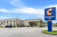 Comfort Inn Ludington Near US-10 Hotels in Amber Township