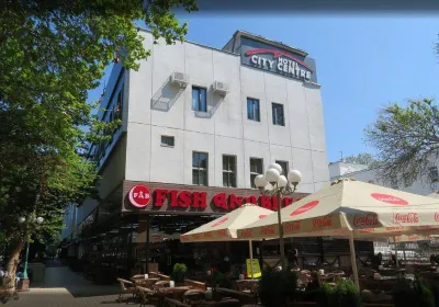 City Centre Hotel Hotel in zona Palazzo del Granduca Nicola Constantinovich