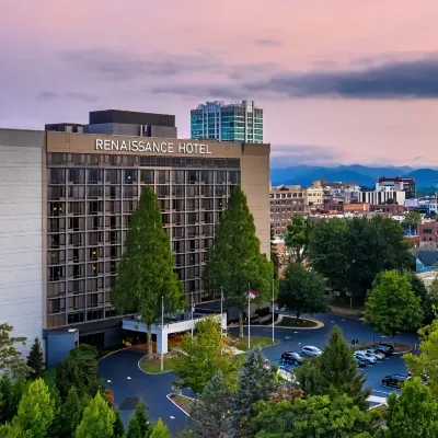 Renaissance Asheville Downtown Hotel Hotels near Mast General Store Asheville