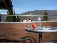 Jungfrau Hotel - Mountain view