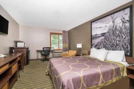 Super 8 by Wyndham St. Cloud Отели в г. Сент-Вендел