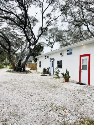 ❤️Red flower (Where you are welcome)