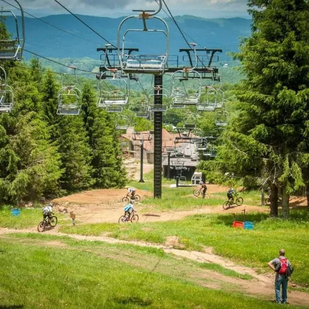 Walk to the Slopes! W/D Combo! Level Entry. Pets