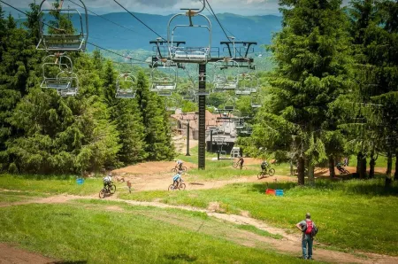 Hike, Bike, Wineries! Fireplace & Level Entry!