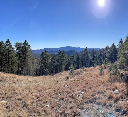 Rustic Family Mountain Top Cabin! 360 degree “million dollar” Black Hills views!