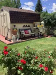 Quaint Downstairs Apartment by Campus w/amenities