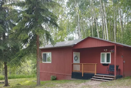 Cozy Alaskan Cabin, with rare Northern Lights views...