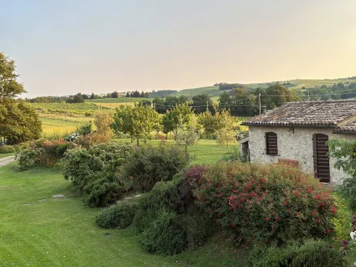 Milva's Nest Countryside