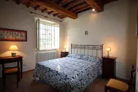 Splendid private villa for 12 people with swimming pool and olive trees