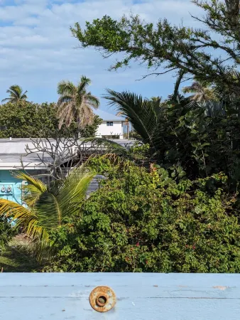 Surf Shack - Soak up the Sun!