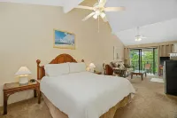 Studio with AC, lanai, and mountain views. Steps from the ocean with beach gear!