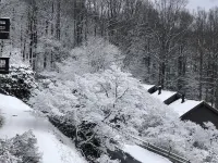 Wonderful view 2/2 villa. A block away from the Blue Ridge Parkway. 2 balconies! Hotéis em Patrick County