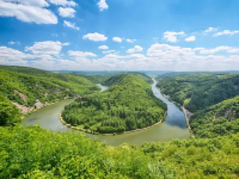 Louise - chic, charming, cosmopolitan apartment