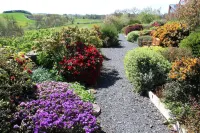 Mungo s Well cottage.  Log burner. Conservatory  On 1 level.  3 miles from Kelso Hotel a Kelso