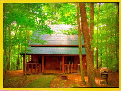 Charming Private Cozy Log Cabin Woodsy Romantic Hot Tub/Video Game Nirvanahhh Hotels near Walker Sisters Place