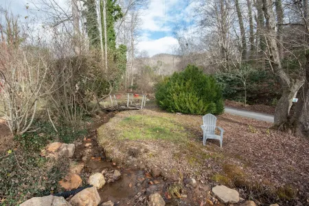 Stunning Views w/Firepit, 2/1 Cottage, Creek, Starlink, Ada + Pet Friendly